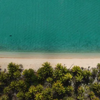 Aerial view of beach with turquoise water and lush green palm trees.