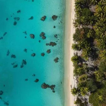 Aerial view of turquoise ocean with scattered rocks beside a sandy beach lined with dense palm trees.