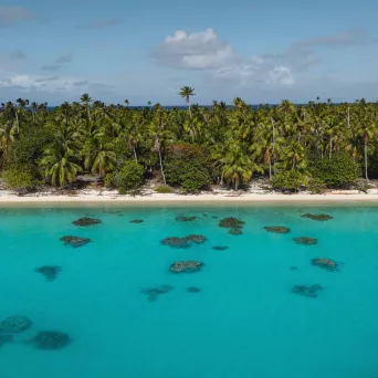Aerial view of tropical beach with turquoise water and palm trees.
