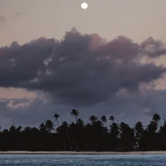 Full moon over tropical island with palm trees and clouds at dusk.