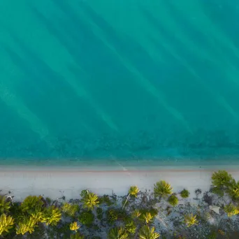 Aerial view of a beach with turquoise water and palm trees casting shadows.