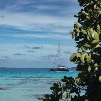 Sailboat on clear blue sea with tree in foreground and cloudy sky.