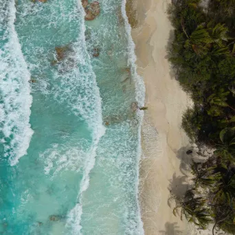 Aerial view of a tropical beach with waves, sand, and palm trees.