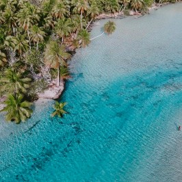 Aerial view of tropical shoreline with turquoise waters and palm trees.