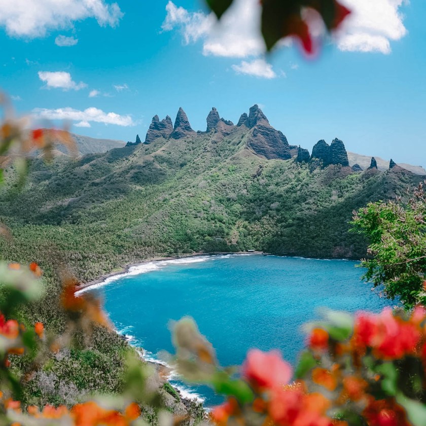 Scenic view of a blue bay surrounded by mountains with red flowers in the foreground.