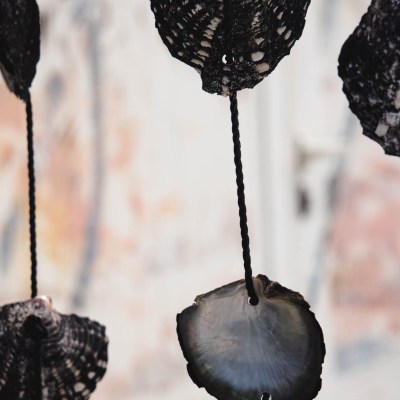 Dark seashells hanging on strings against a blurred background.