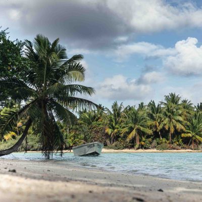 Tropical beach with palm trees, boat on shore, and cloudy sky.