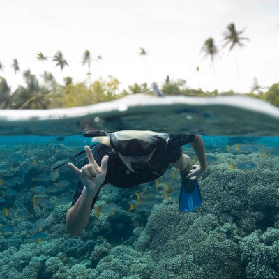 Person snorkeling, giving hand signal, over coral reef with fish.