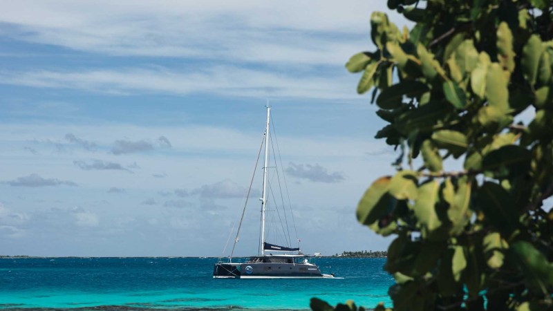 Sailboat on turquoise sea with cloudy sky, tree branches in foreground.