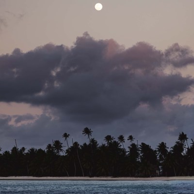 Moonlit beach with palm trees and clouds at twilight.