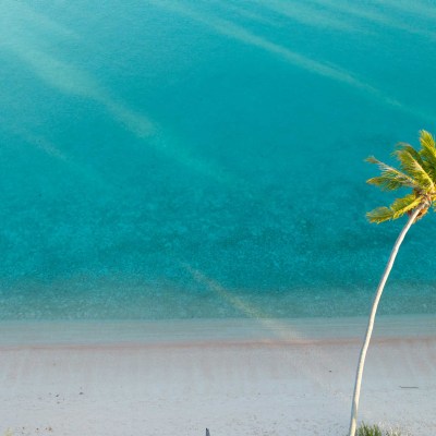Aerial view of a sandy beach with clear turquoise water and a single palm tree.