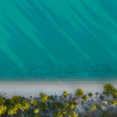 Aerial view of a beach with turquoise water and a line of palm trees casting shadows.