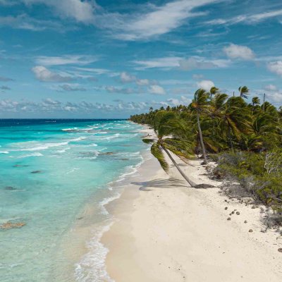 Tropical beach with turquoise water, palm trees, and blue sky.