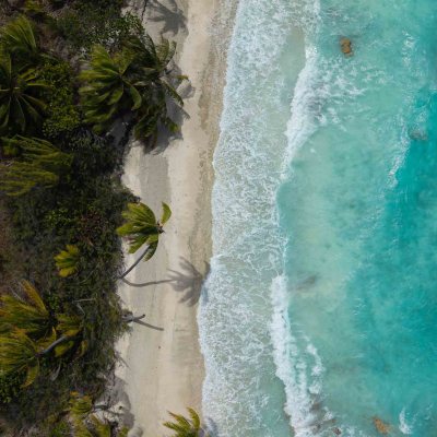 Aerial view of turquoise ocean waves crashing on a sandy beach lined with palm trees.