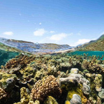 Split view of coral reef underwater and clear sky above.
